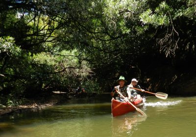 Fortalecimiento del producto ecocultural en el paso Andrés Pérez y en el área “Montes del Queguay”