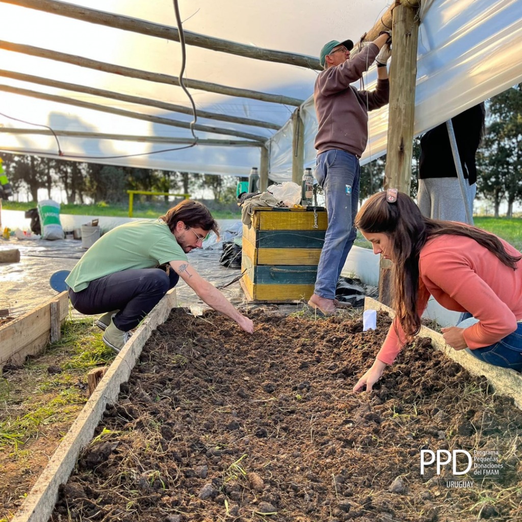 construcciondeinvernaculo202202