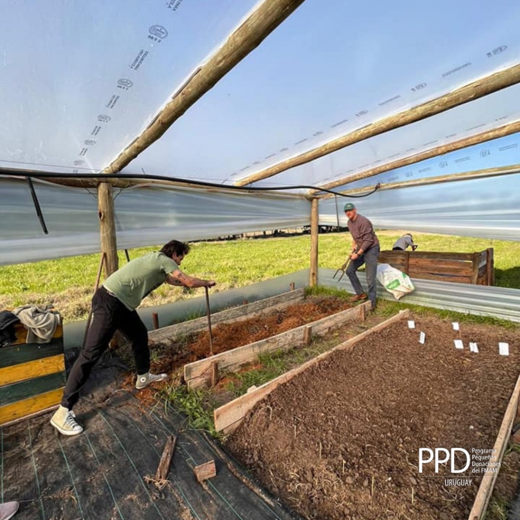 construcciondeinvernaculo202206