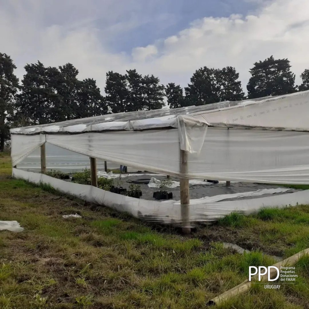 construcciondeinvernaculo202207