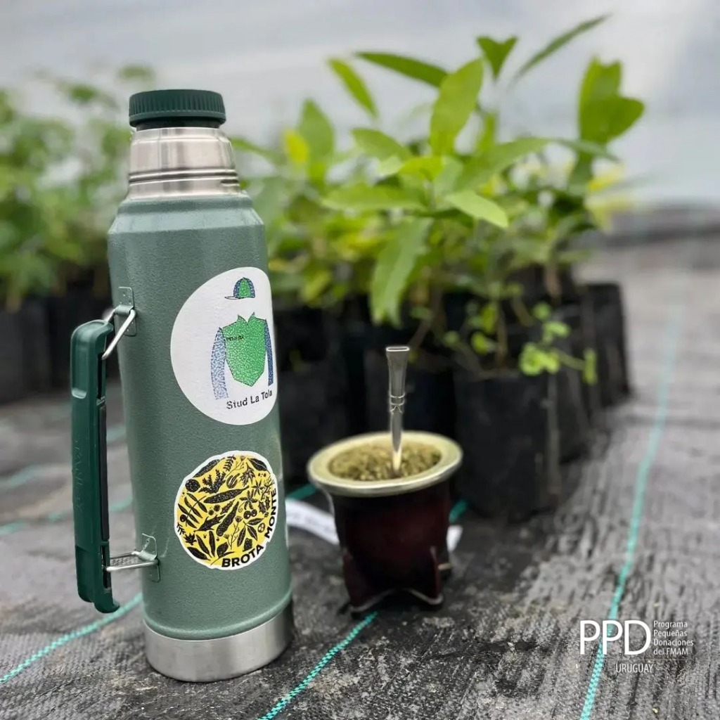 construcciondeinvernaculo202209