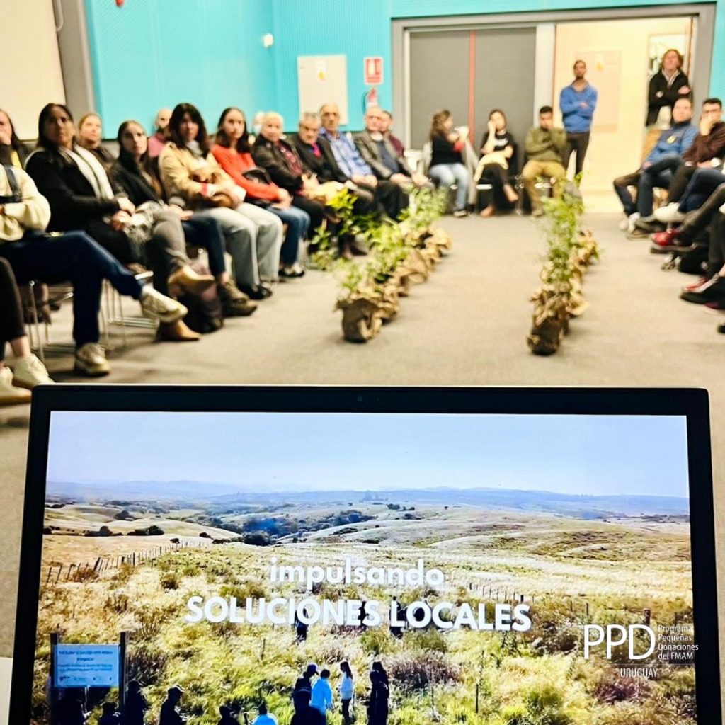 presentaciondelproyecto29demarzo02