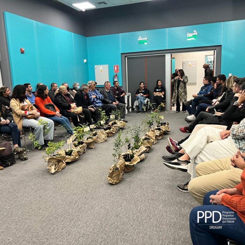 presentaciondelproyecto29demarzo03