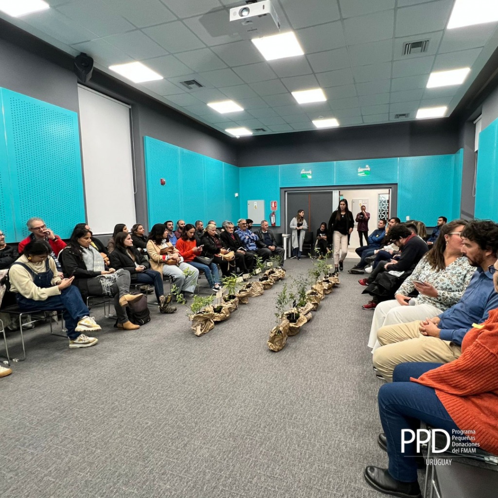 presentaciondelproyecto29demarzo05