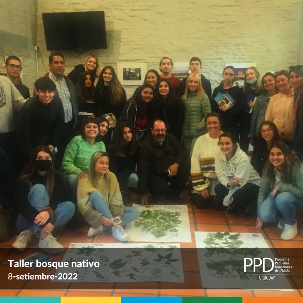 tallerdebosquenativo