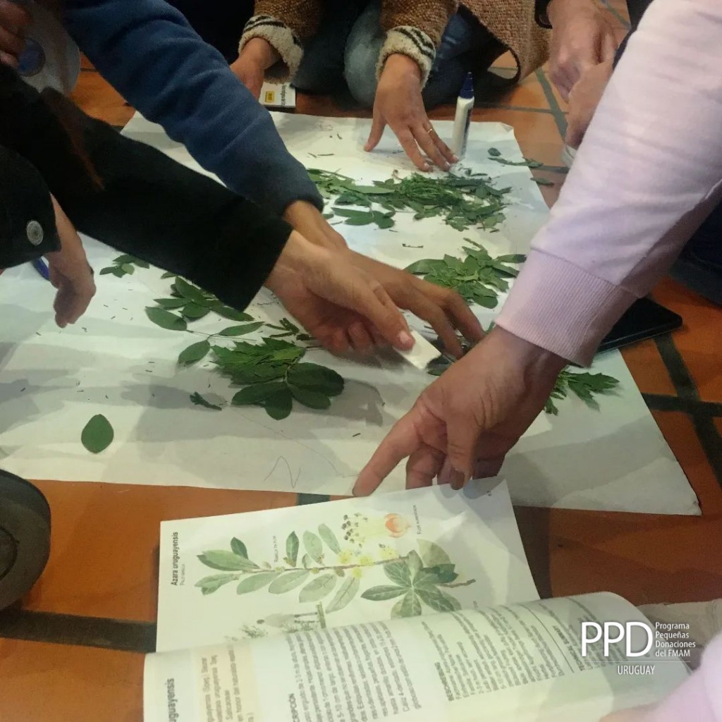 tallerdebosquenativo02