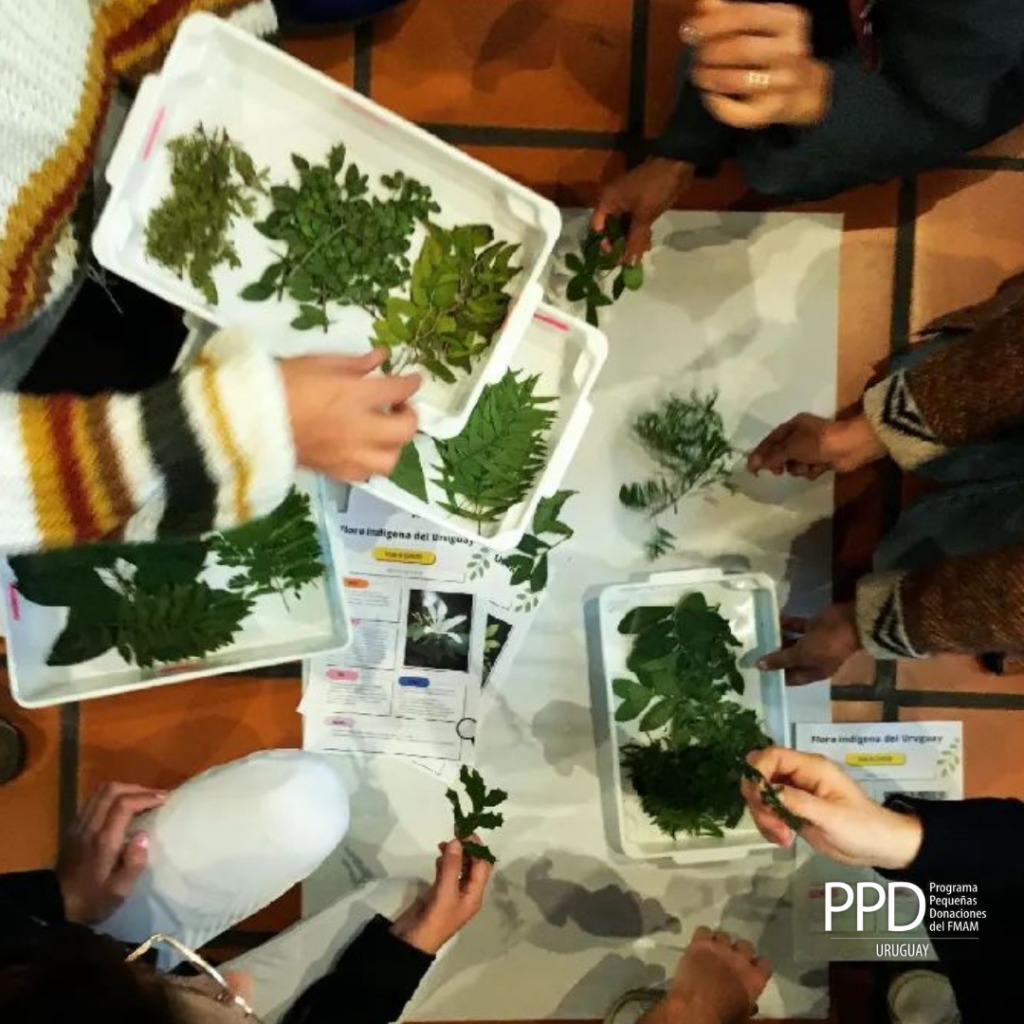 tallerdebosquenativo03