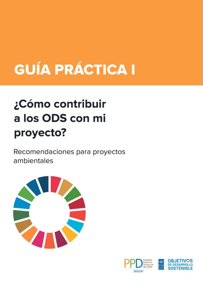 Guía práctica: ¿cómo contribuir a los ODS con mi proyecto?