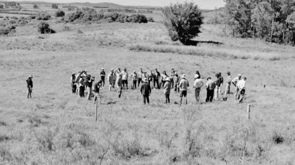 Estas instituciones convocan a colectivos y agrupaciones de personas jóvenes de entre 18 y 30 años a la presentación de iniciativas ambientales para ser implementadas durante el año 2023.
